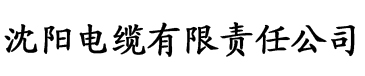 媳妇的放荡电缆厂logo